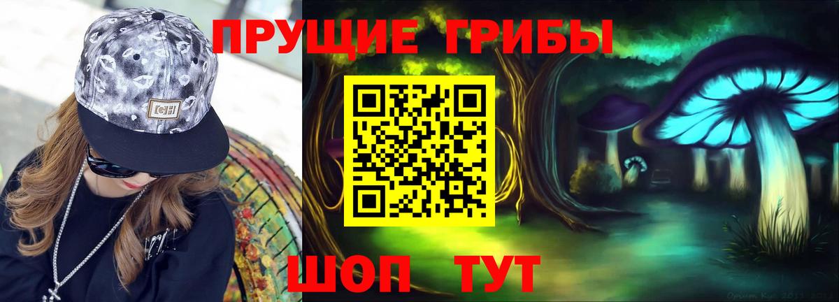Галлюциногенные грибы GOLDEN TEACHER  Вход с VPN  Псилоцибиновые грибы Psilocybine cubensis  Вольск 